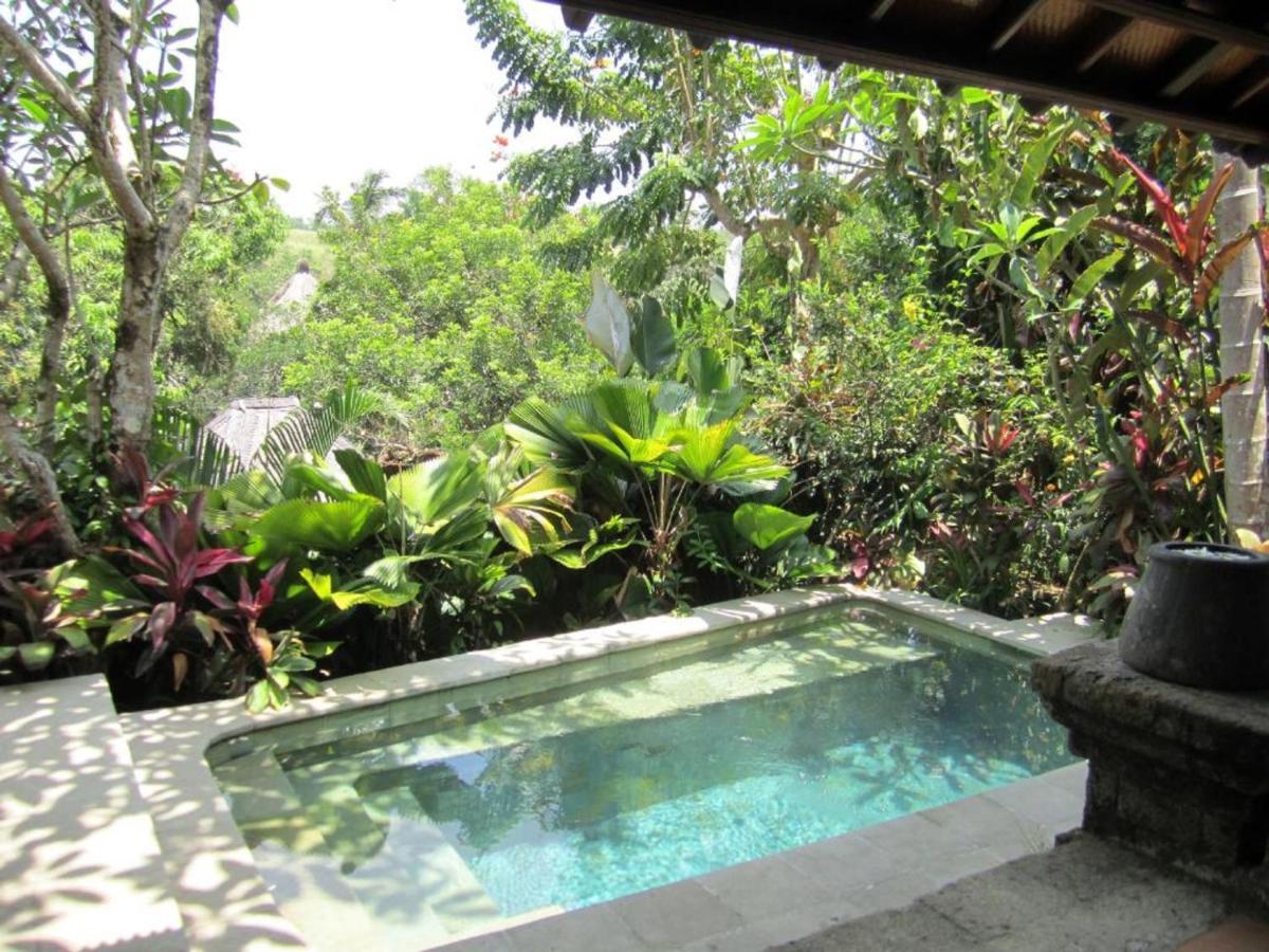 Resort Ibah 5*